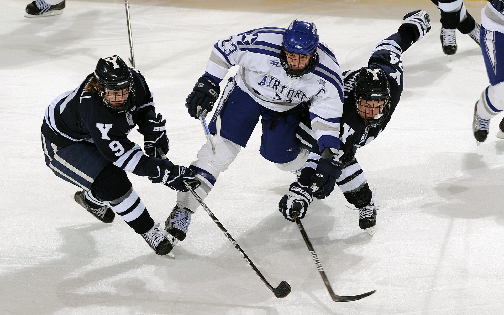 _新赛季展望:潜力新星预计冲击总冠军_,全新赛季