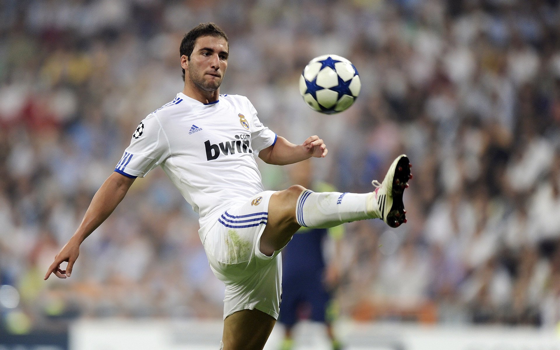 开云体育充值-全国男子橄榄球联赛广东队三连冠，男子橄榄球视频精彩视频