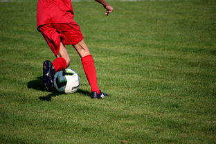 kaiyun-法甲营养恢复系统提升球员赛季稳定性调查